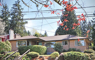 Mid Century Modern in Maple Leaf