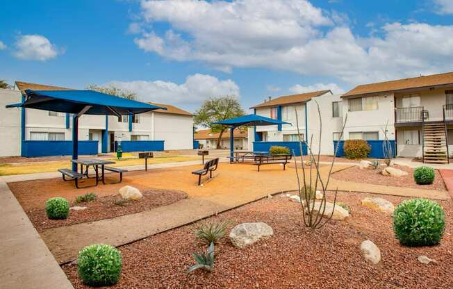 Pet-Friendly Apartments In Tucson, AZ – Midtown on Seneca - Photo of Courtyard