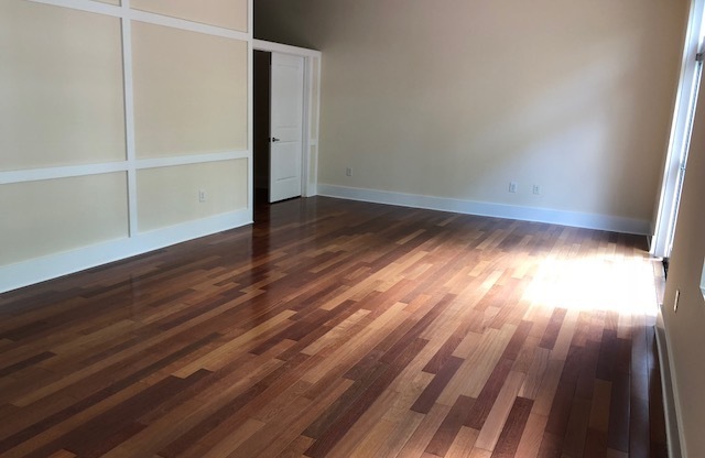 1 Bedroom in NoDa!