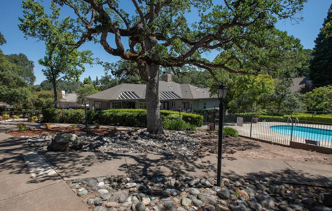 A tree in a yard with a house in the background.
