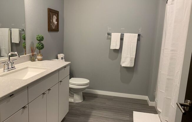 Studio, 1 bath, 482 sqft, $995, Unit Unit 304