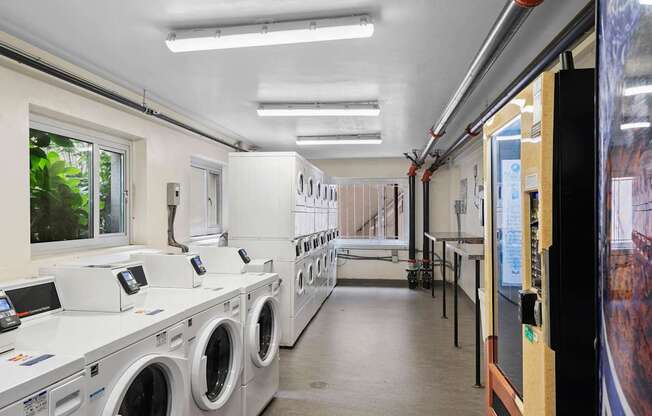 a laundry room with washers and dryers and a row of washing machines