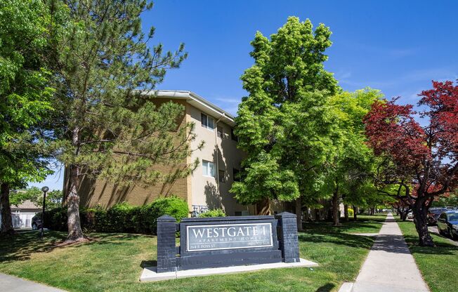 1 bed, 1 bath, 430 sqft, $995, Unit 1-57