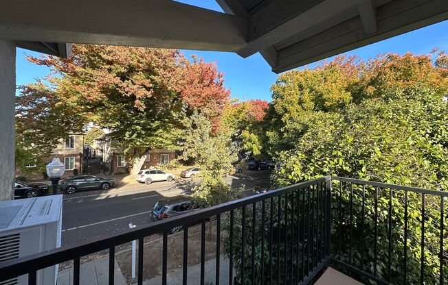 1 bed, 1 bath, $1,575, Unit 07