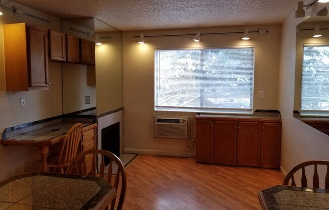 Studio, 1 bath, 250 sqft, $1,245, Unit 202