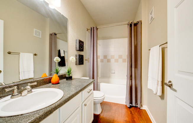 View of Upgraded Apartment Interior, Showing Bathroom with Single Vanity, Plank Wood Flooring and Garden Tub at Stonebriar of Frisco Apartments