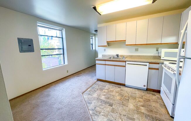 Studio, 1 bath, 413 sqft, $1,395, Unit 410