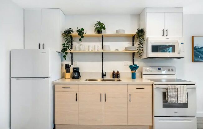 Studio, 1 bath, 500 sqft, $1,999, Unit 08