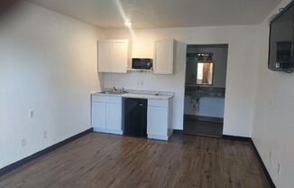 1 bed, 1 bath, 300 sqft, $795