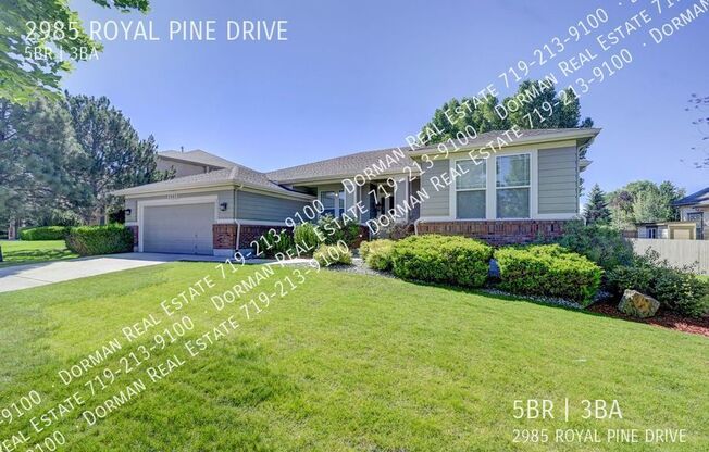 2985 ROYAL PINE DR