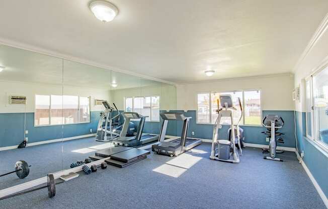 the gym has plenty of exercise equipment and mirrors