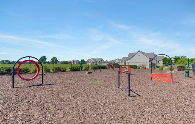 Expansive Dog Park With Obstacle Courses