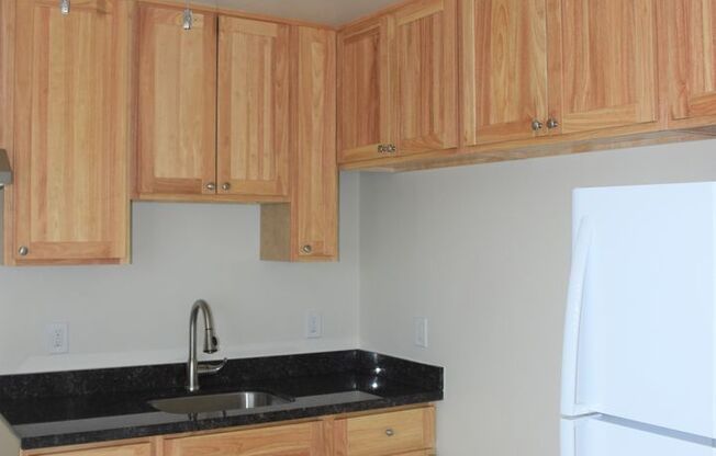 -- Wonderful Elegant Modern // Remodeled 1 Br. Apartment --- Pet Friendly