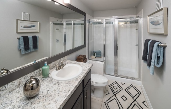 a bathroom with a sink and a shower and a toilet