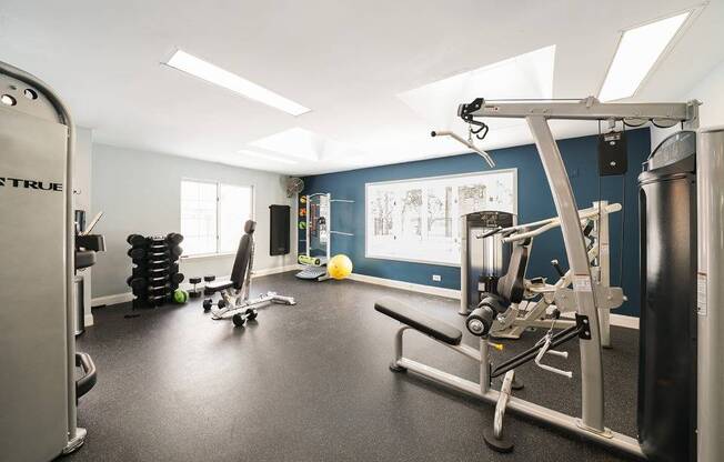 Fitness Center at Fifteen 98 Naperville, Naperville, 60563