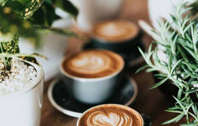 Three cups of coffee with latte art on a wooden table surrounded by green plants.