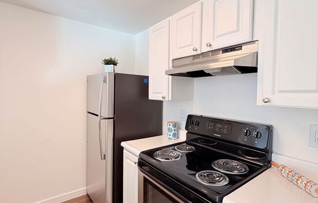 1 bed, 1 bath, 700 sqft, $1,750, Unit 234