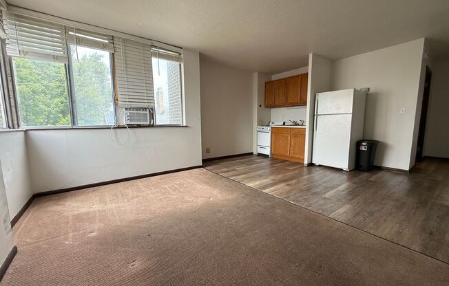 Studio, 1 bath, $695, Unit 410