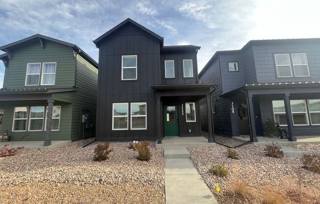 Fantastic New Home in Mosaic