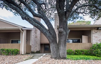 a large oak tree in front of a brick building