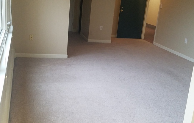 1 bed, 1 bath, 589 sqft, $1,400, Unit 207
