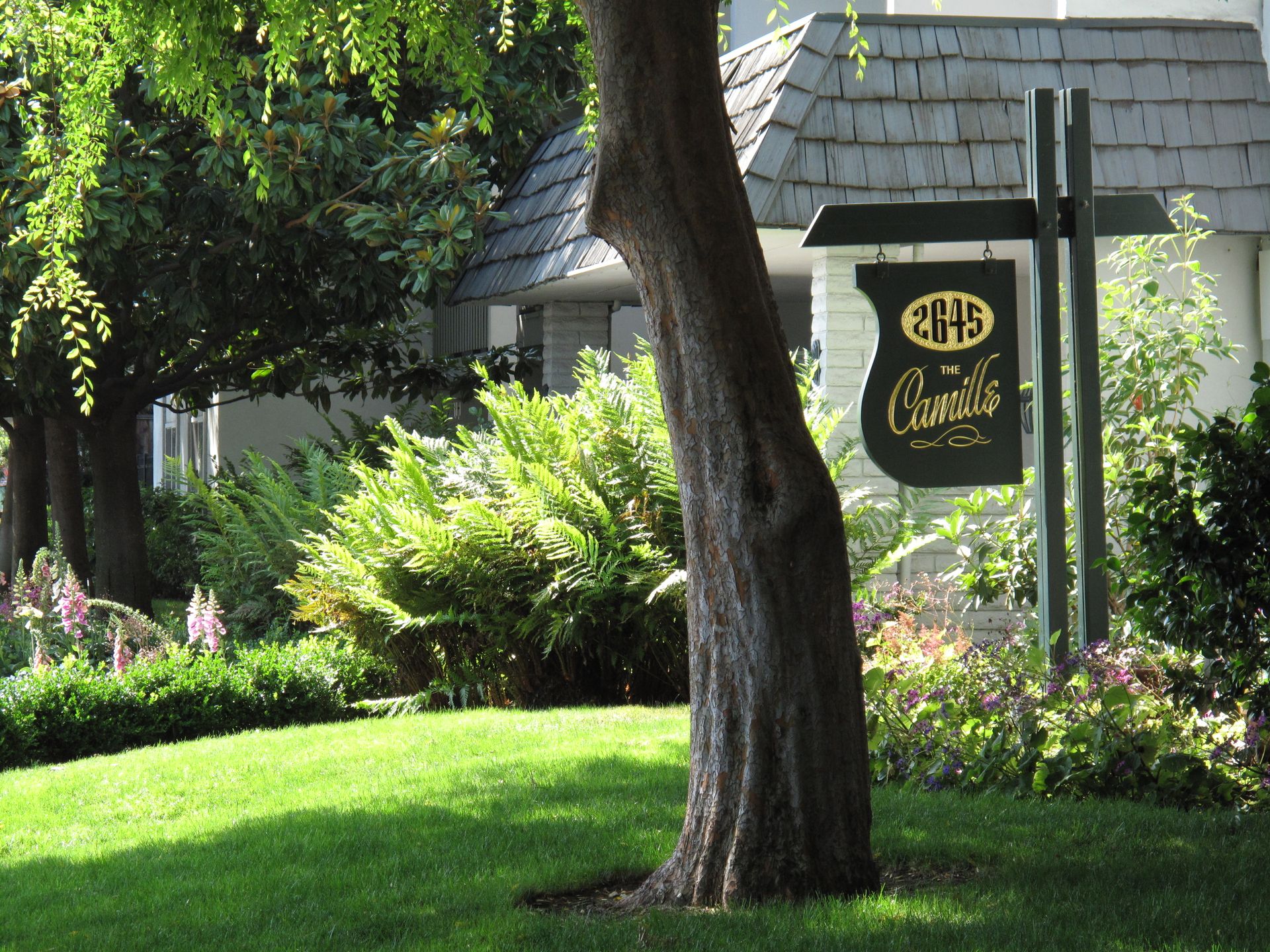 Mountain View - The Camille Apts - Close to San Antonio Center, Caltrain, Stanford