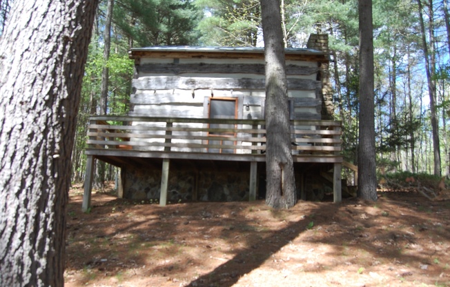 Cozy Cabin - 1 BR, 1 Ba