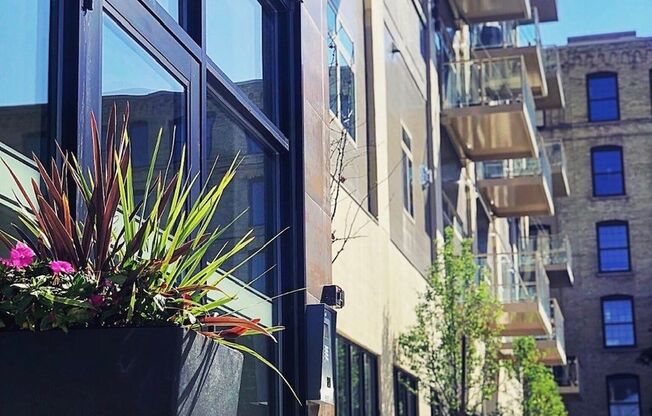 Granary Lofts