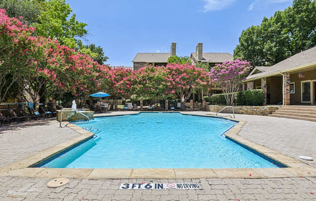 A pool surrounded by trees and bushes with a sign that says "NO DIVING".