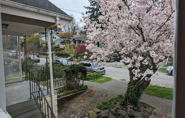 Charming 2 story with basement in West Seattle