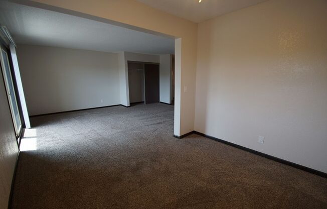 Studio, 1 bath, 710 sqft, $1,194, Unit 307