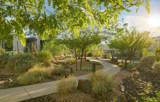 a view of a garden with trees and a pathway