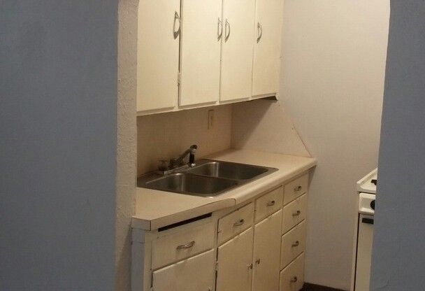 Studio, 1 bath, 400 sqft, $550, Unit 1