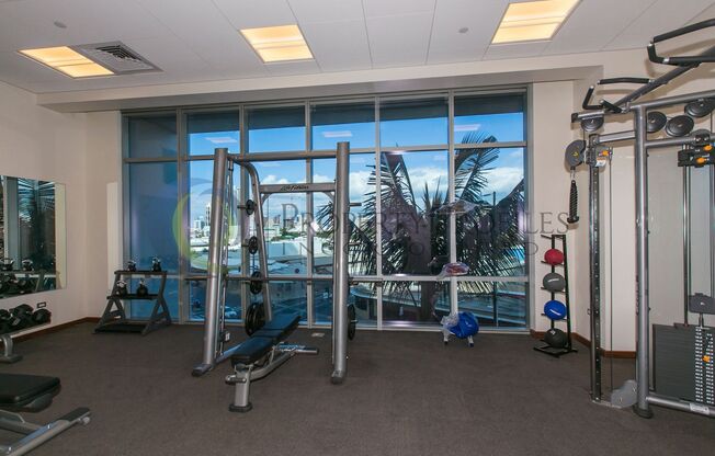 1 bed, 1 bath, $3,200