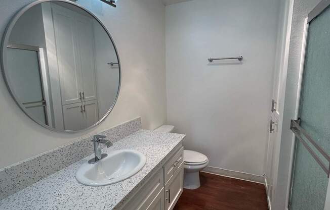 a bathroom with a sink and a toilet and a mirror