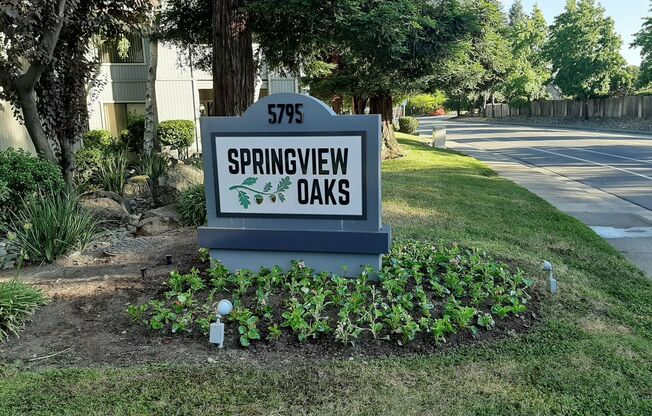 SP579-Springview Oaks