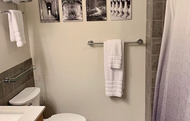 1 bed, 1 bath, $3,500, Unit 508