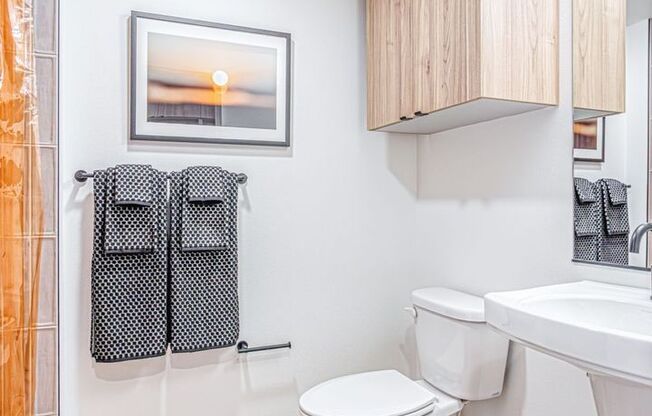 Studio, 1 bath, 306 sqft, $1,450, Unit 203