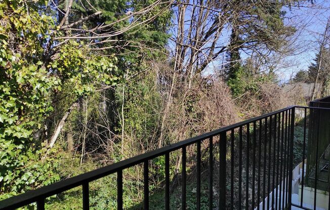 1 bed, 1 bath, 547 sqft, $1,200, Unit 39