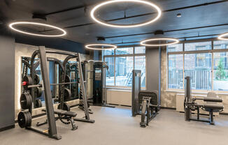 Chelsea Centro large gym with windows in daytime featuring exercise machines, weights, rowing machin