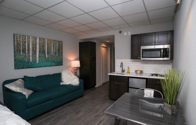 1 bed, 1 bath, 294 sqft, $1,100, Unit 332