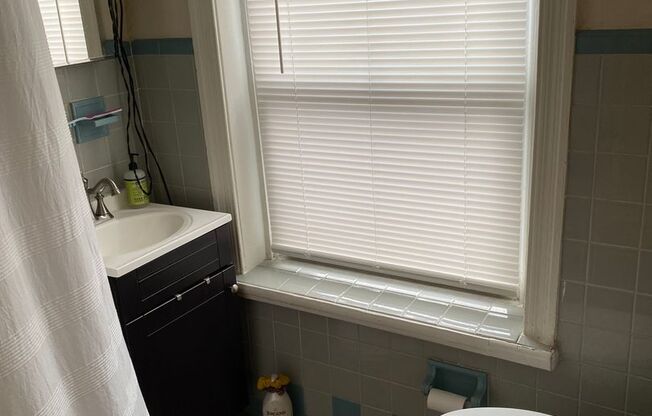 Studio, 1 bath, 600 sqft, $1,195