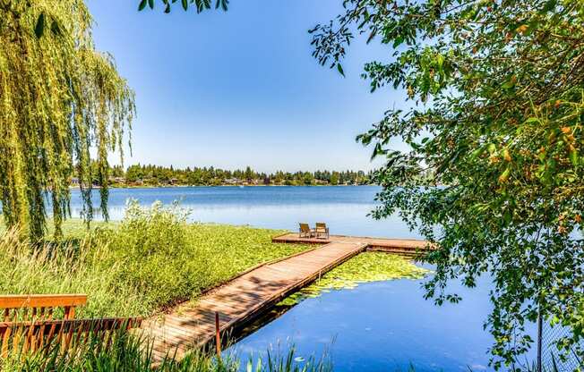 a dock on a lake near a weeping willow tree