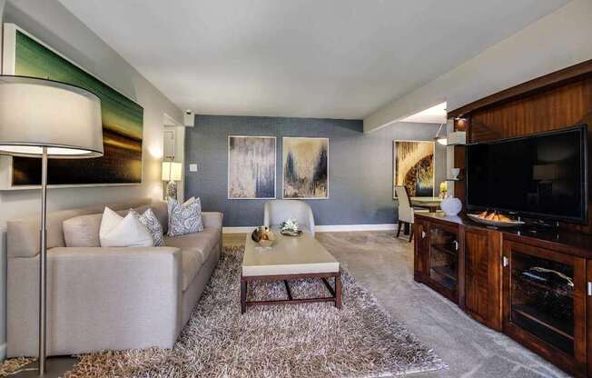 A living room with a grey couch, a coffee table, and a television.