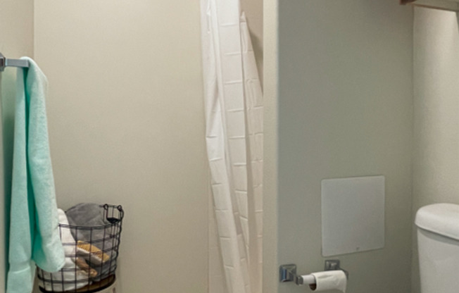 Studio, 1 bath, 300 sqft, $1,100, Unit C0