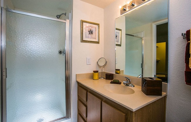 Model Bathroom at Apartments on Ray Road Chandler AZ