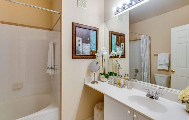 a bathroom with a sink and a tub and a mirror