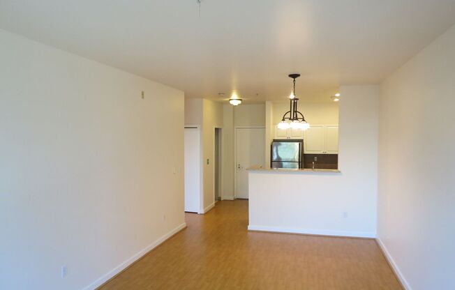 Incredible 1bed/1bath Condo Ideally Located in Belltown!