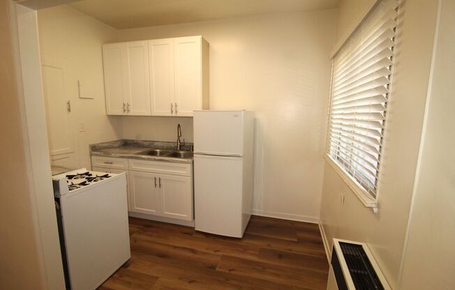 Studio, 1 bath, $1,895