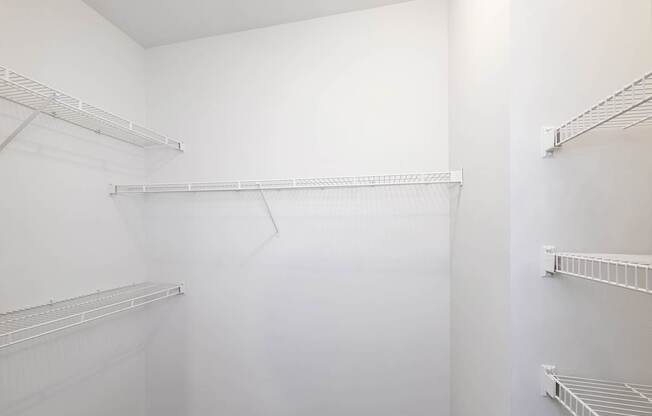 Large walk-in closets with shelving